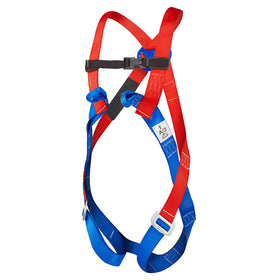 Harness - 2 point